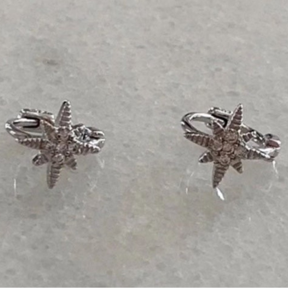 Silver Crystal Star Burst Small Huggie Hoop Earrings
Brand New - Picture 4 of 5